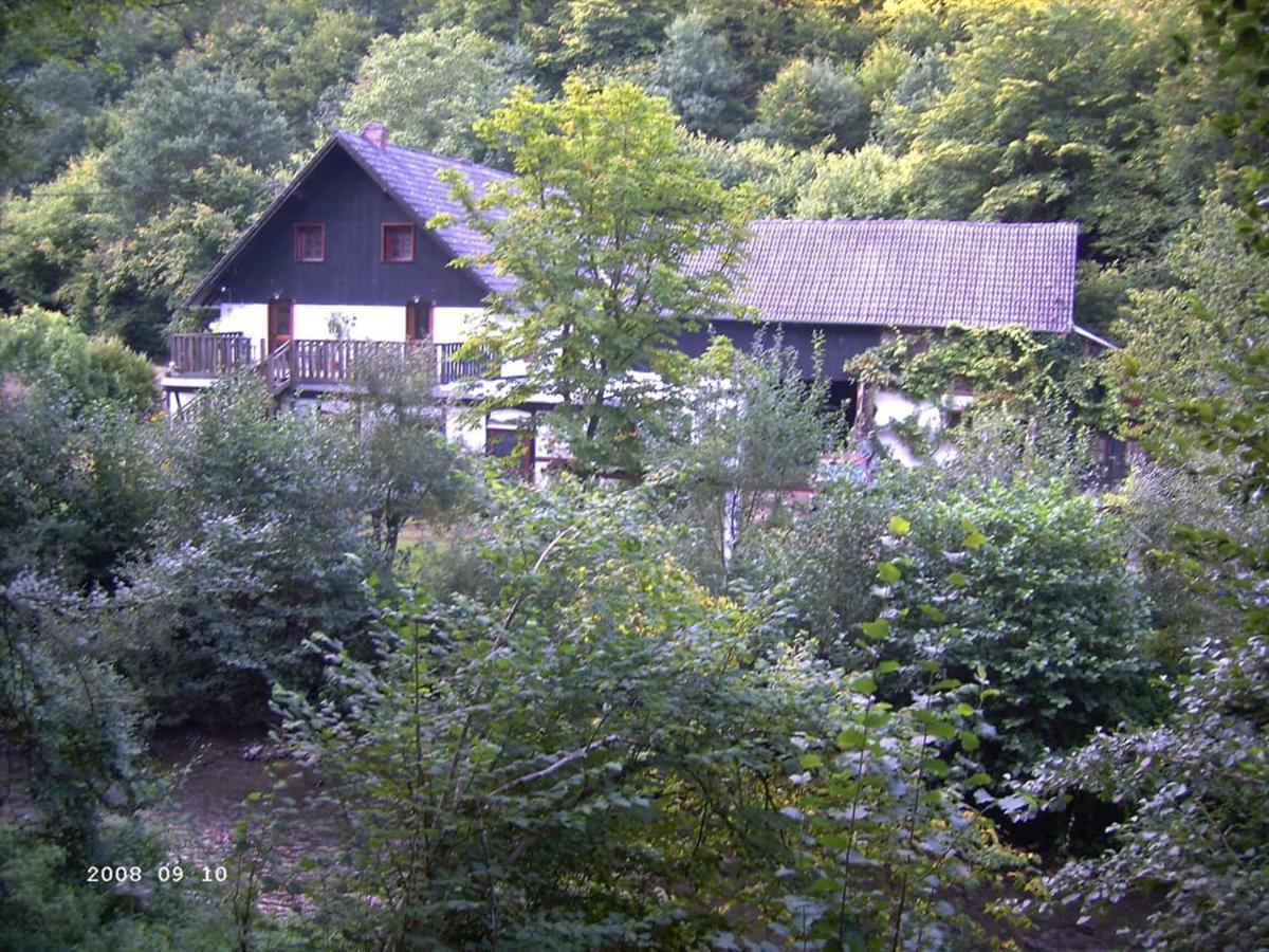 Neumühle Ferienwohnung 2 Lutzerath Exterior foto